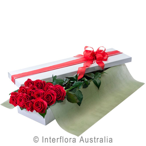 Seduction (Red), Presentation Box of 12 Long Stemmed Red Roses.