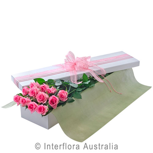 Seduction (Pink), Presentation Box of 12 Long Stemmed Pink Roses.