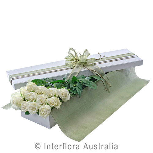Seduction (White), Presentation Box of 12 Long Stemmed White Roses.