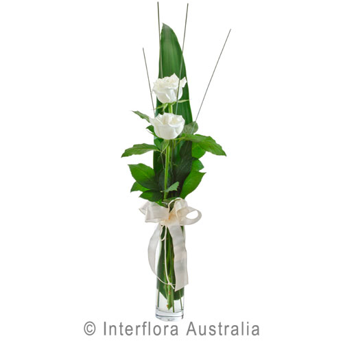 Flirt (White), Vase with 2 White Roses.