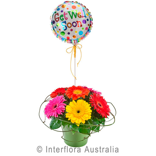 Rainbow, Mixed Gerberas in a Ceramic Container.