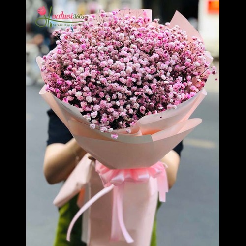 Starburst (Pink)