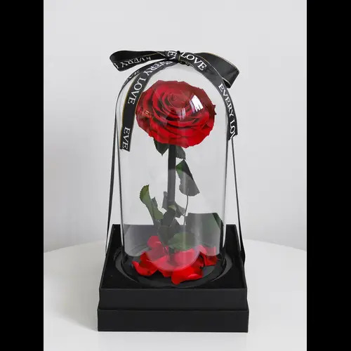 Romance Flowers at Busy Bee Florist