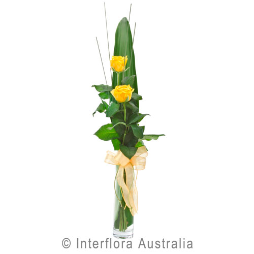 Flirt (Yellow), Vase with 2 Yellow Roses.