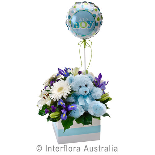 It's a Boy!, Flower Box with a Teddy Bear and Balloon.