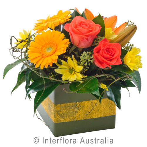 Whimsy, Petite Box Arrangement.